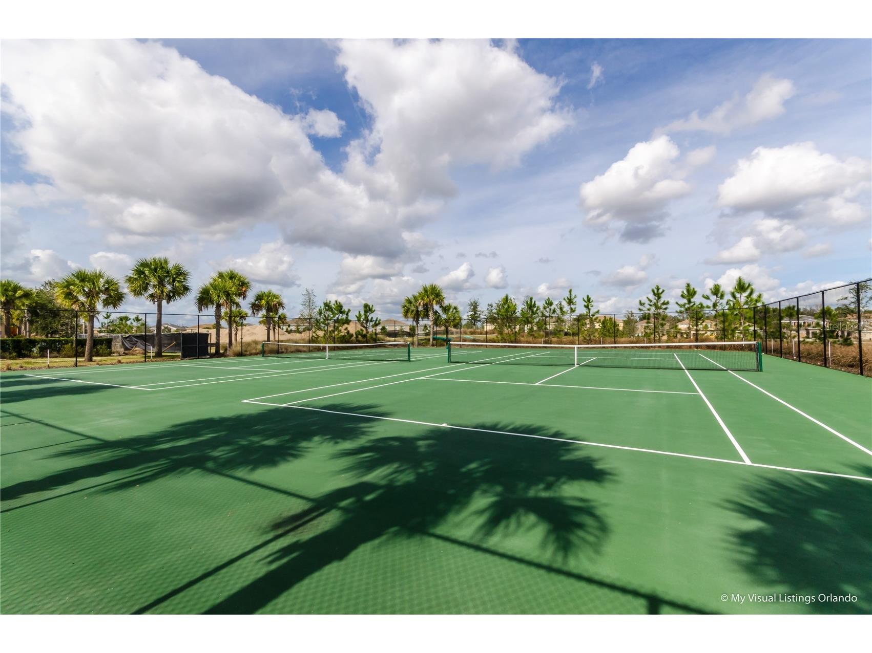 7487 Oakmoss Loop Davenport FL 33837 O6385813 image63