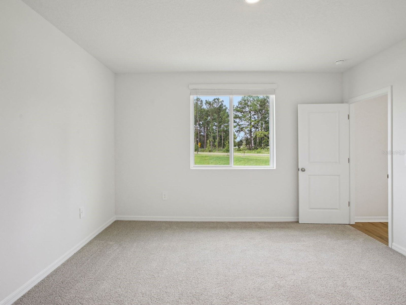 7488 Mia Vine Drive Brooksville FL 34601 O6368266 image17