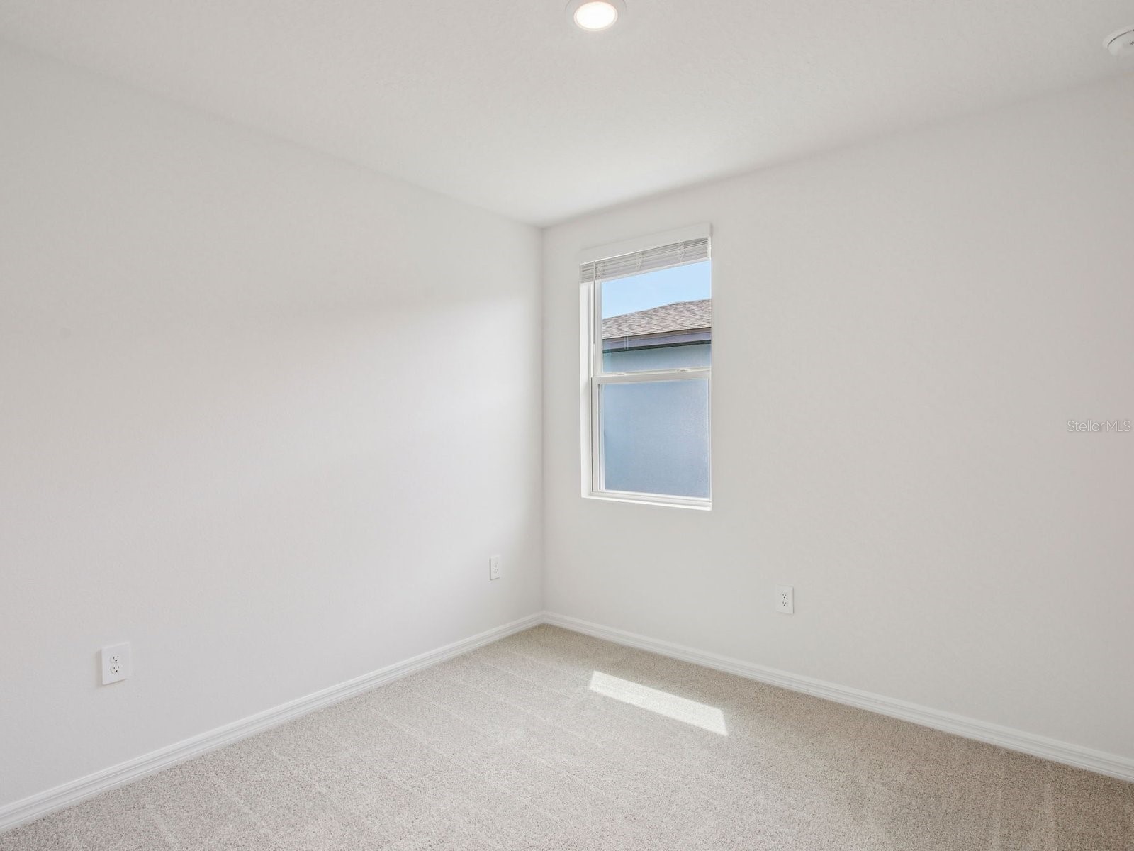 7488 Mia Vine Drive Brooksville FL 34601 O6368266 image18