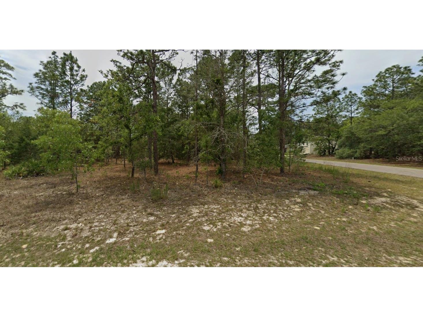 7488 N Galt Point Citrus Springs FL 34434 FC314464 image1