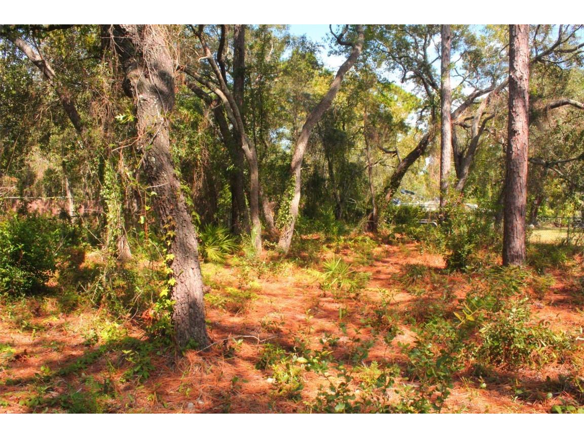 7489 W Pedersen Loop Homosassa FL 34446 U8217275 image1
