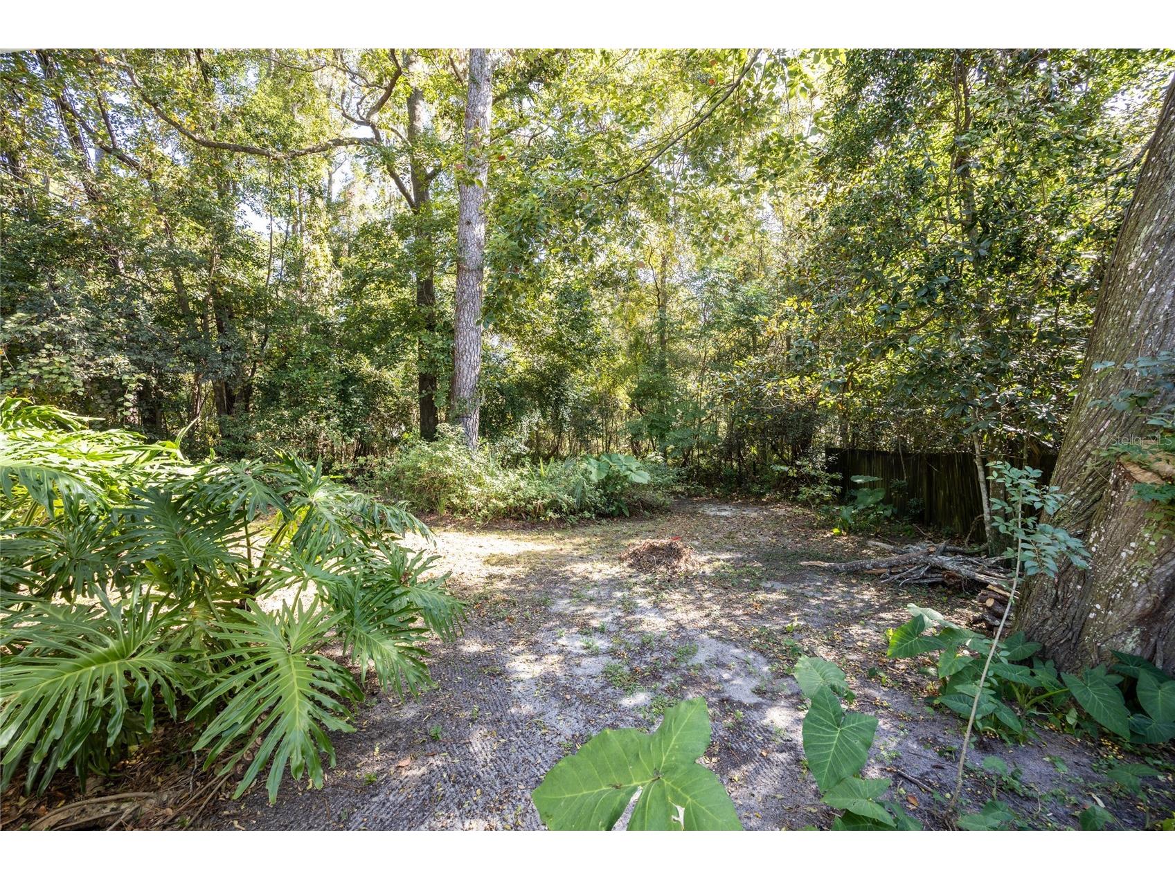 749 NW 34th Street Gainesville FL 32607 GC540906 image37