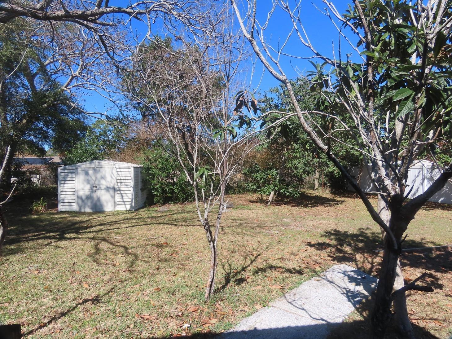 749 Seminole Avenue Longwood FL 32750 O6400530 image14