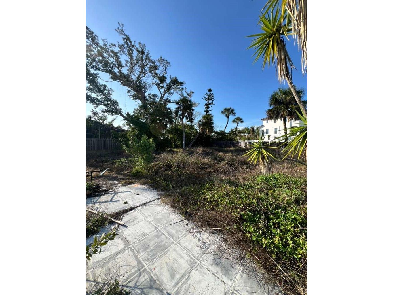 749 Siesta Drive Sarasota FL 34242 O6399340 image6