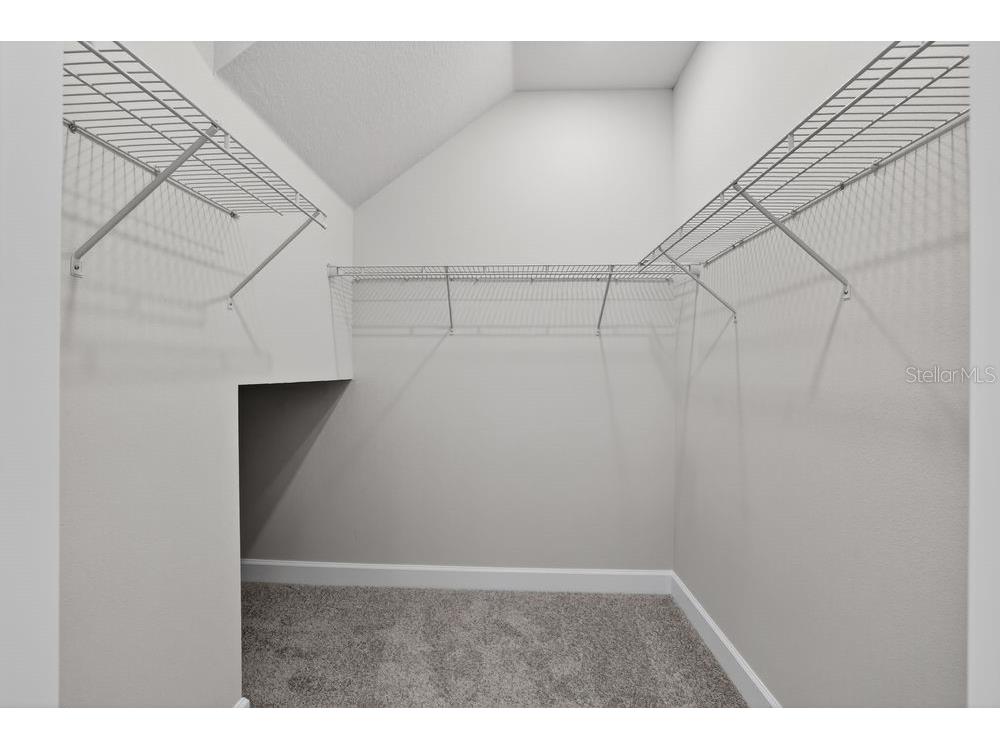 749 Steel Drive Apollo Beach FL 33572 TB8467117 image13