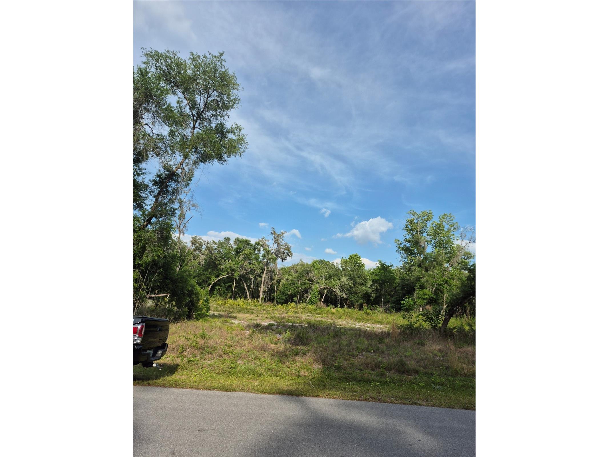 7490 Shasta Street Webster FL 33597 G5111327 image1