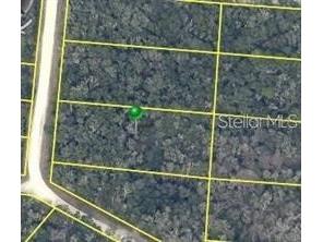 7490 Shasta Street Webster FL 33597 G5111327 image3