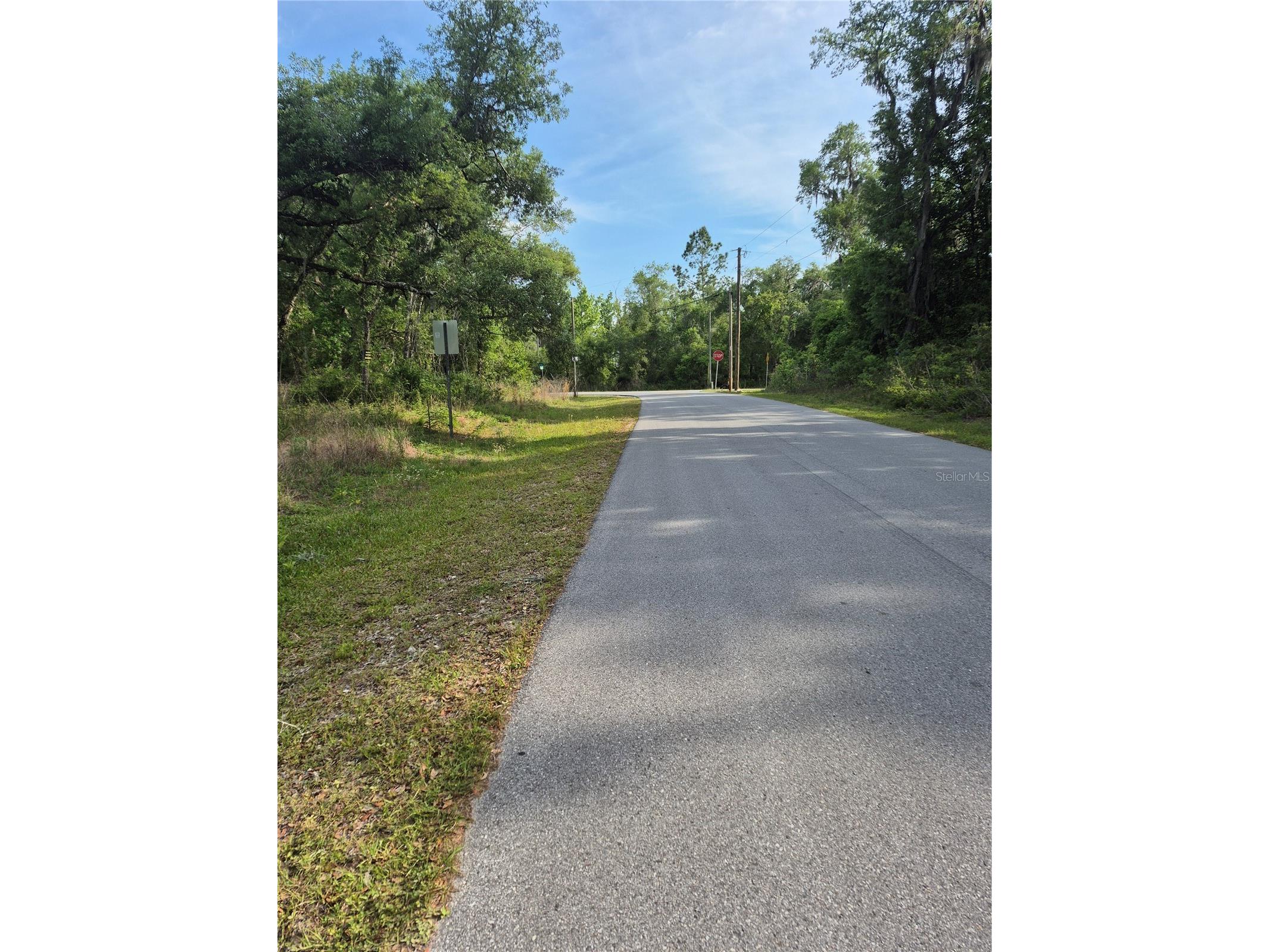 7490 Shasta Street Webster FL 33597 G5111327 image4