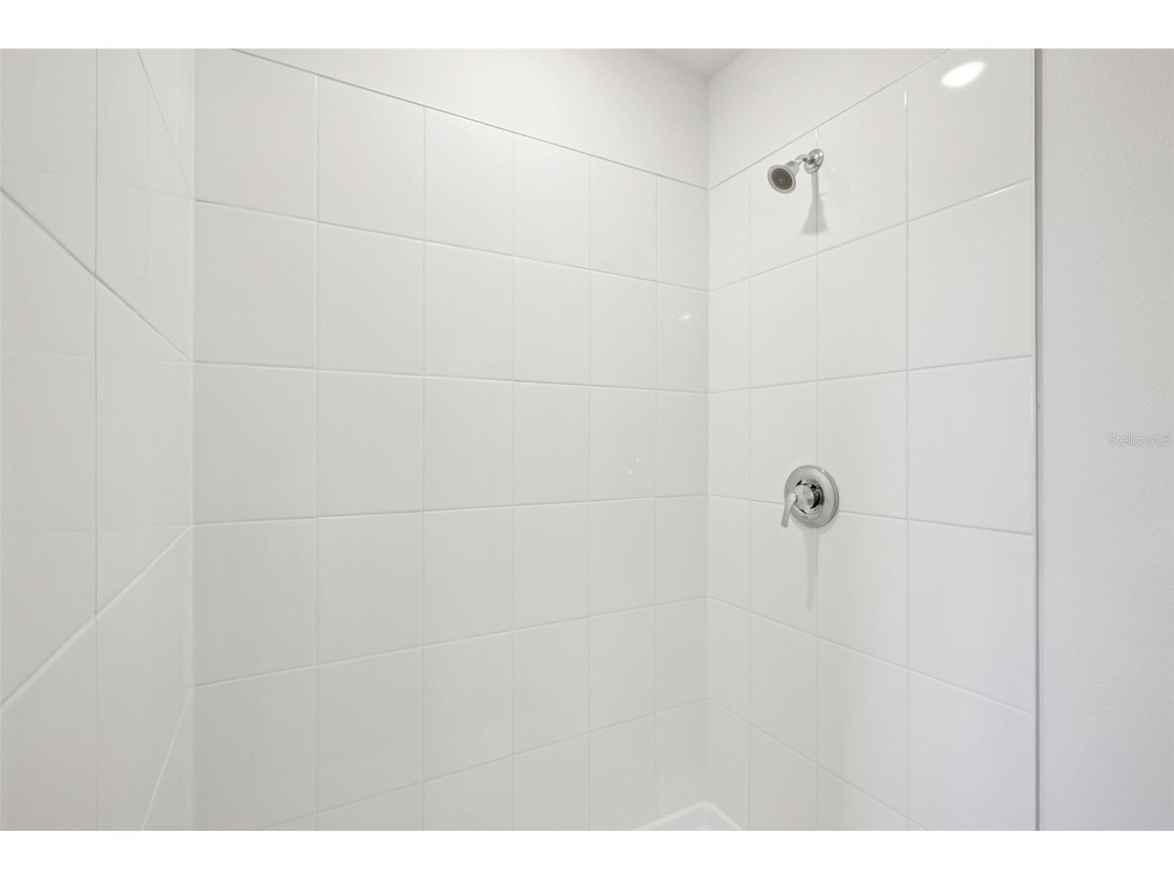 7491 Mia Vine Drive Brooksville FL 34601 TB8475569 image20
