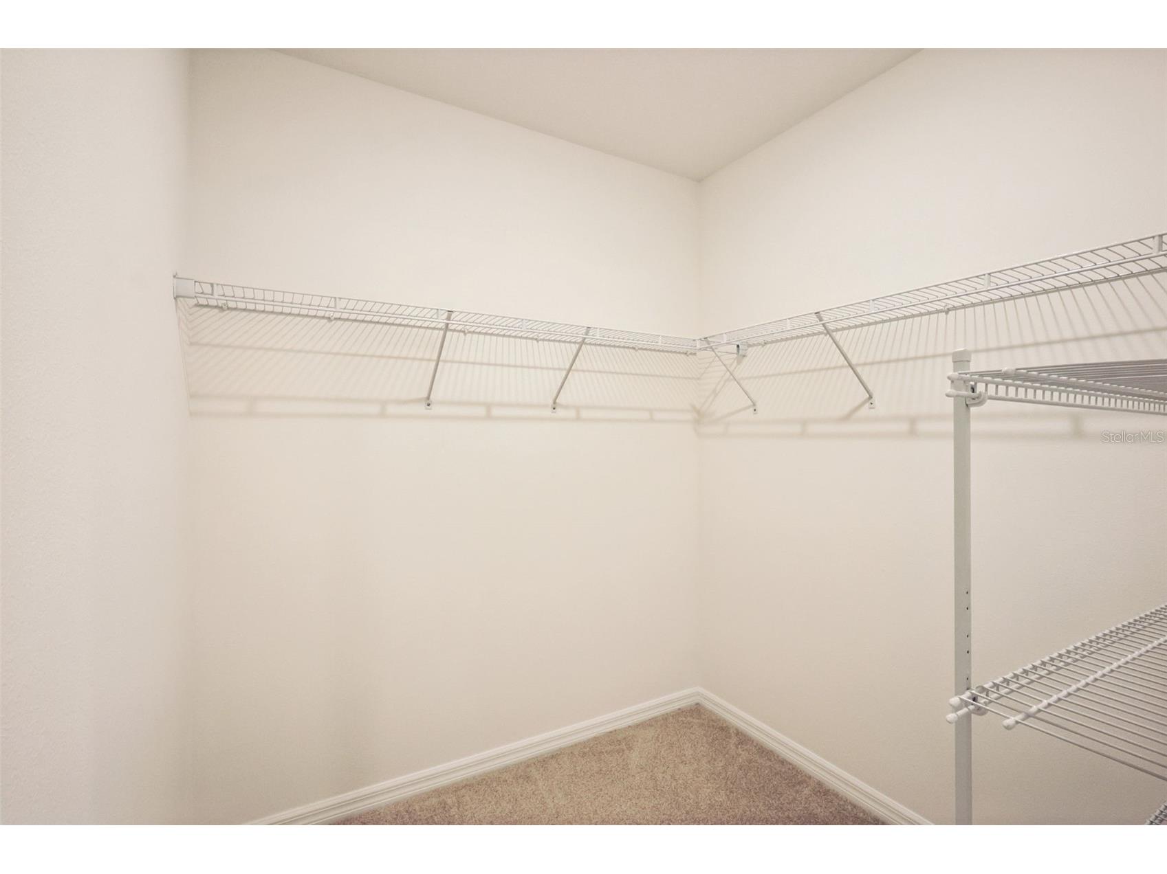 7491 Mia Vine Drive Brooksville FL 34601 TB8475569 image21