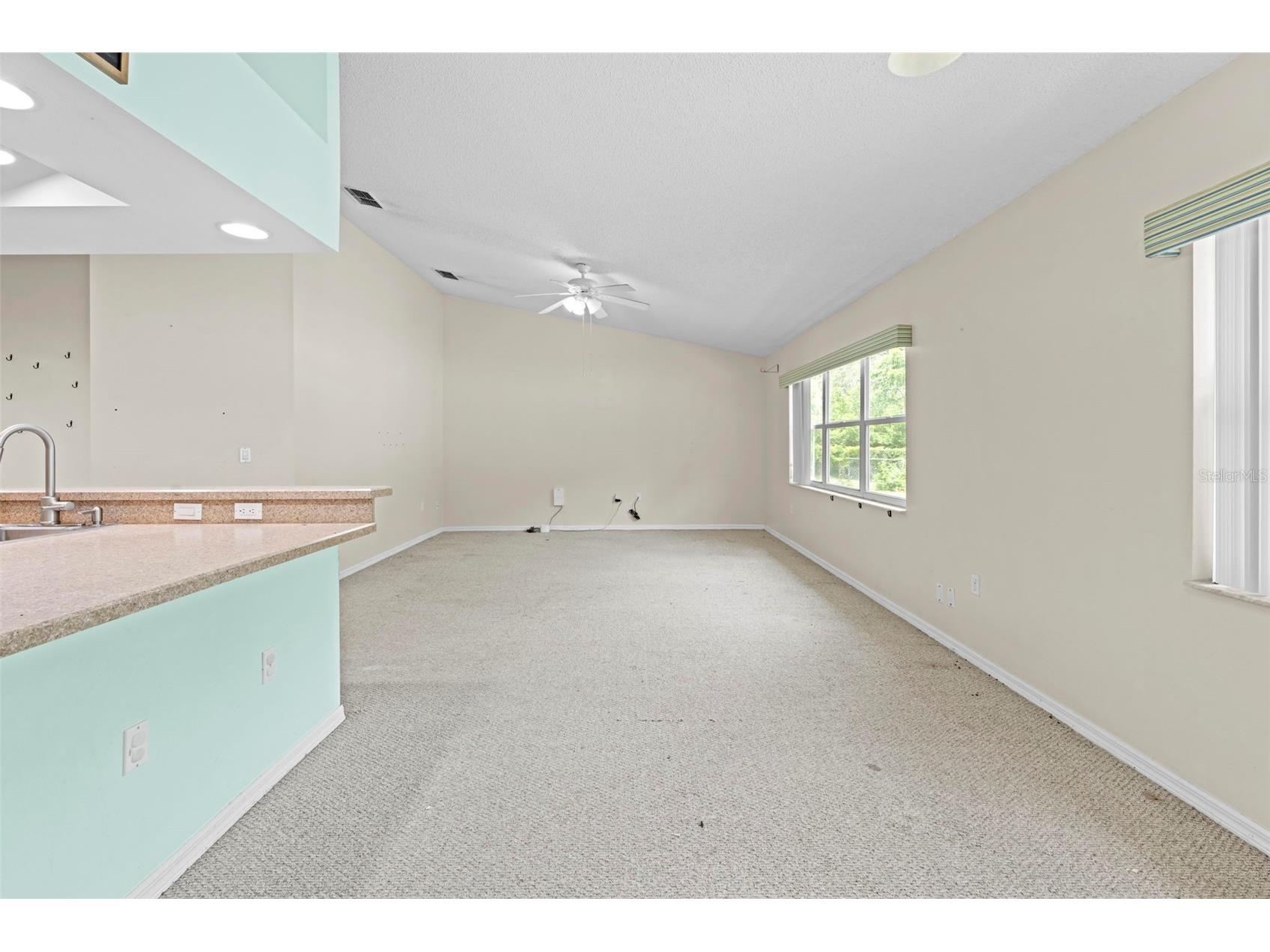 7492 Aloe Drive Spring Hill FL 34607 TB8412823 image17