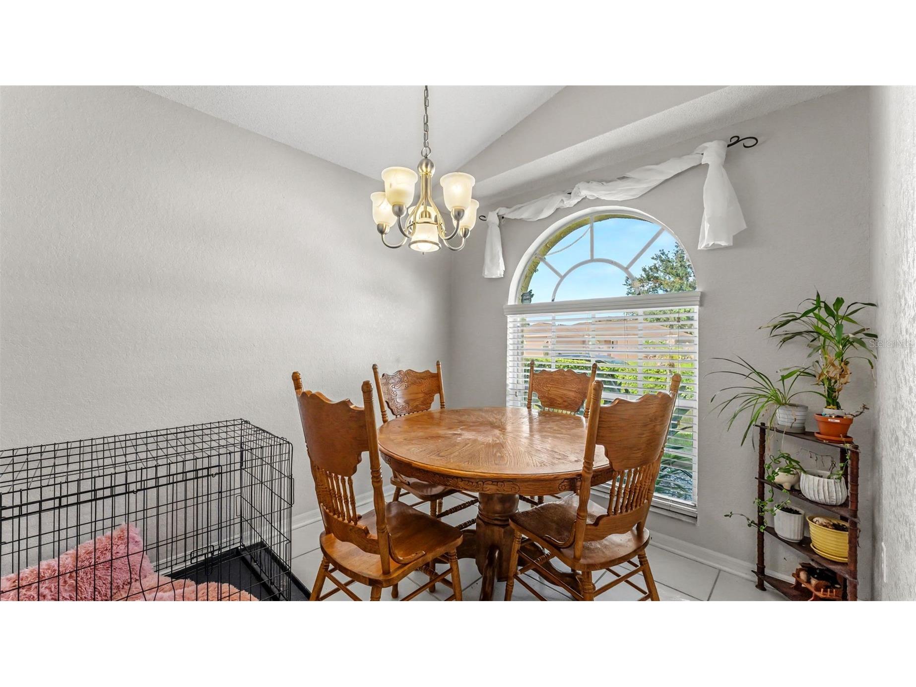 7493 Briarbay Loop Lakeland FL 33810 L4963601 image12