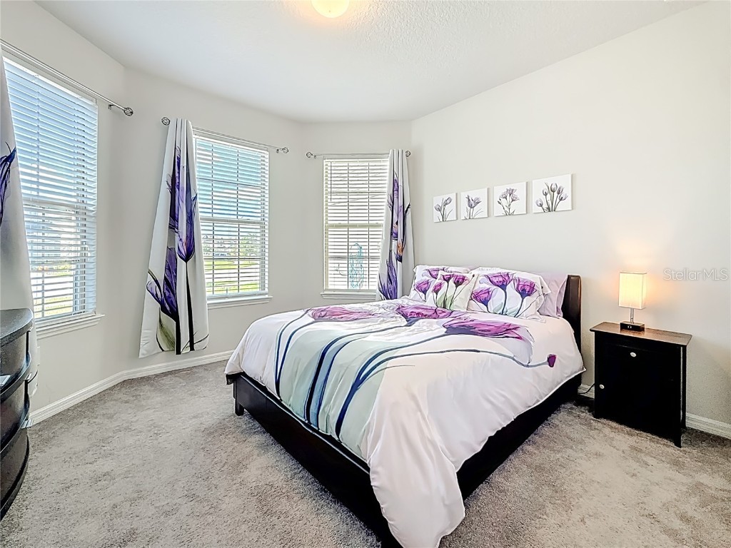 7494 Pool Compass Loop Wesley Chapel FL 33545 O6354199 image29