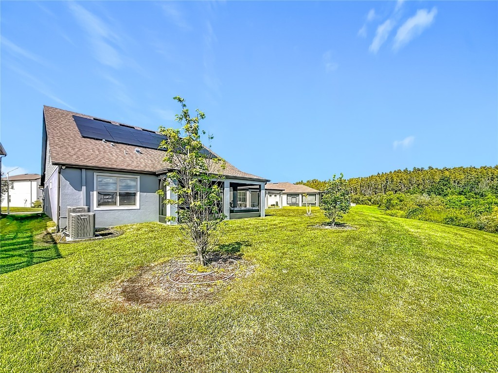 7494 Pool Compass Loop Wesley Chapel FL 33545 O6354199 image70