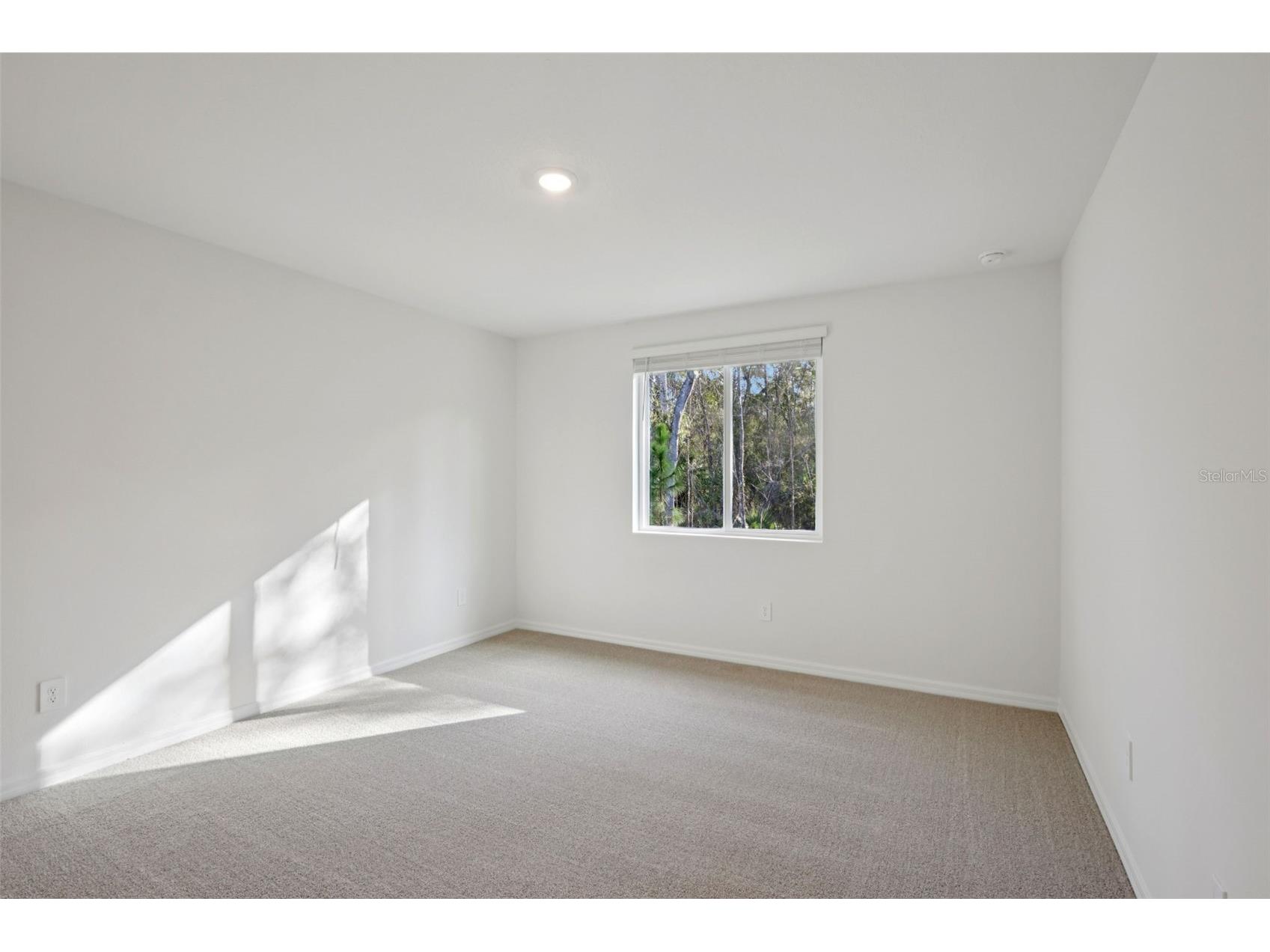 7496 Mia Vine Drive Brooksville FL 34601 TB8474654 image14