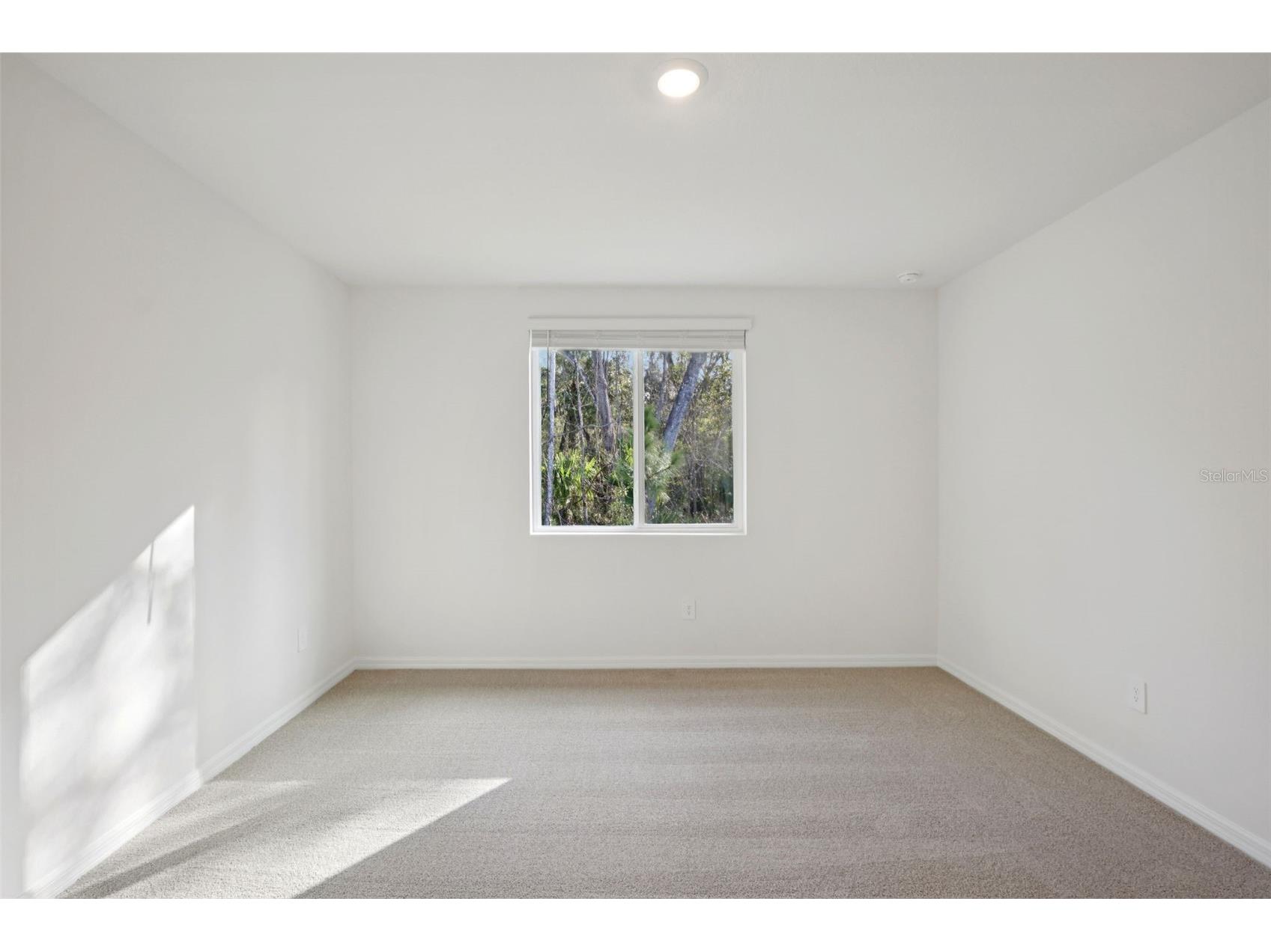 7496 Mia Vine Drive Brooksville FL 34601 TB8474654 image16