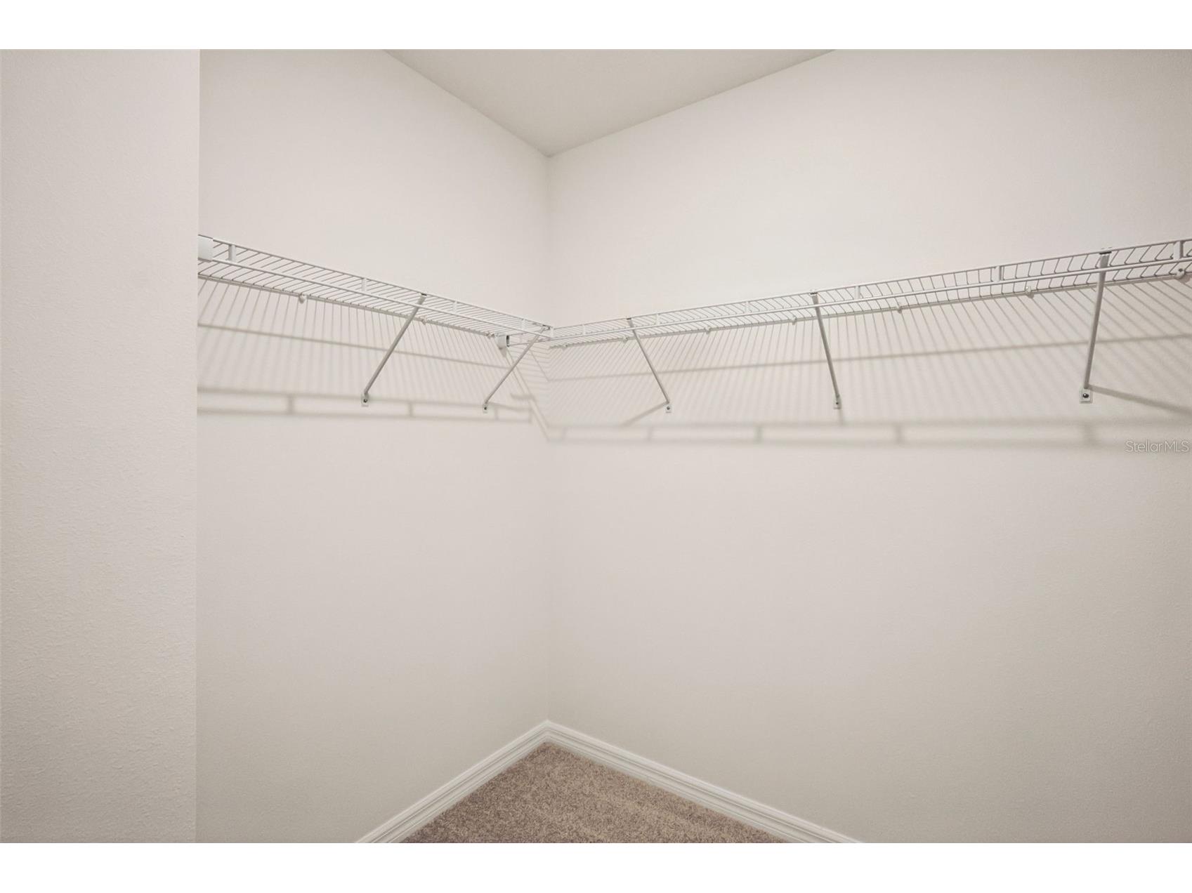 7496 Mia Vine Drive Brooksville FL 34601 TB8474654 image20