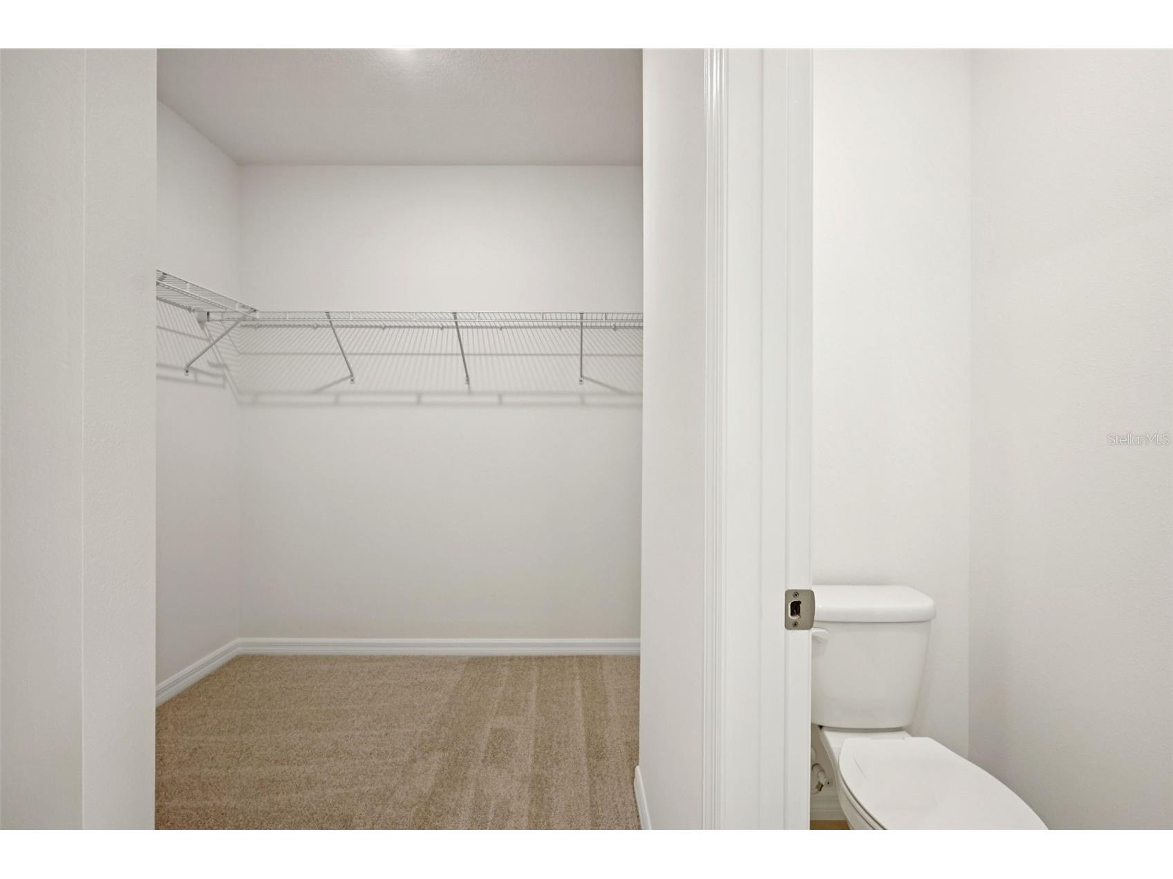 7496 Mia Vine Drive Brooksville FL 34601 TB8474654 image21