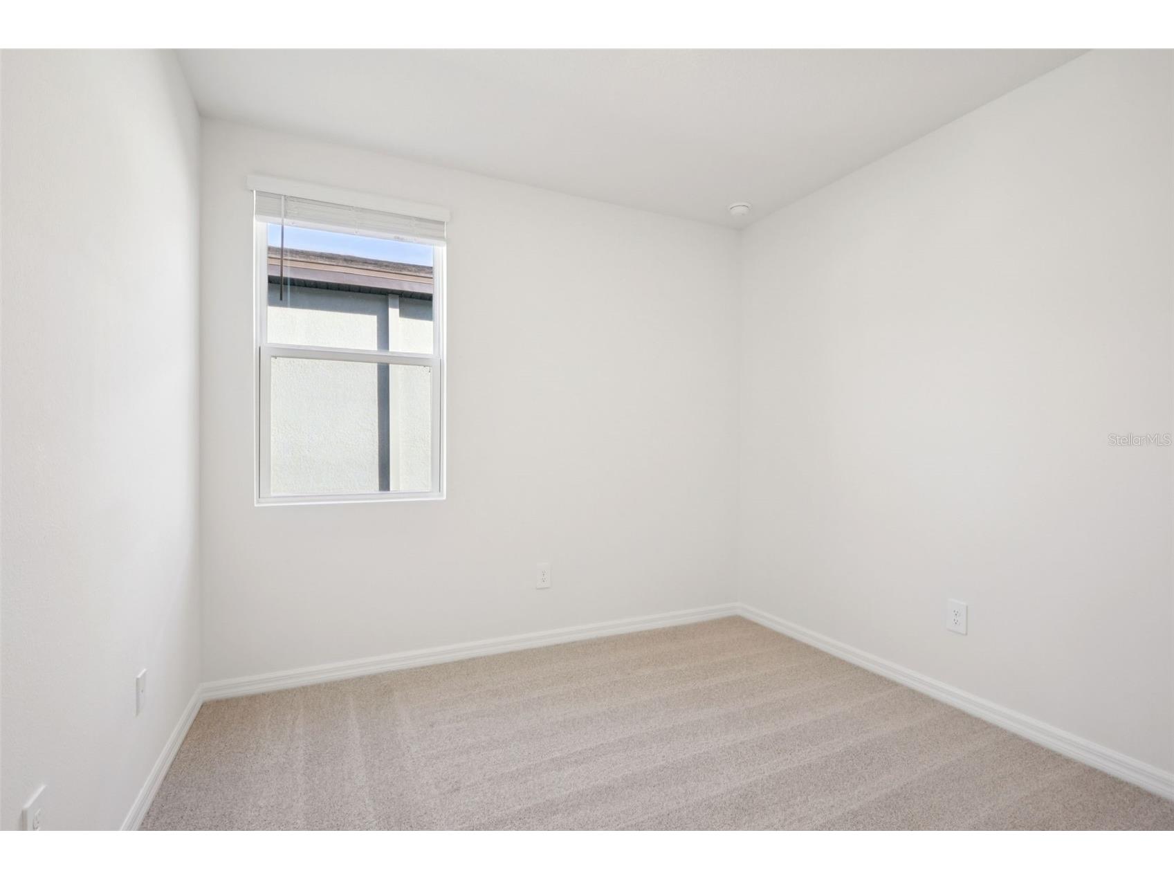 7496 Mia Vine Drive Brooksville FL 34601 TB8474654 image23