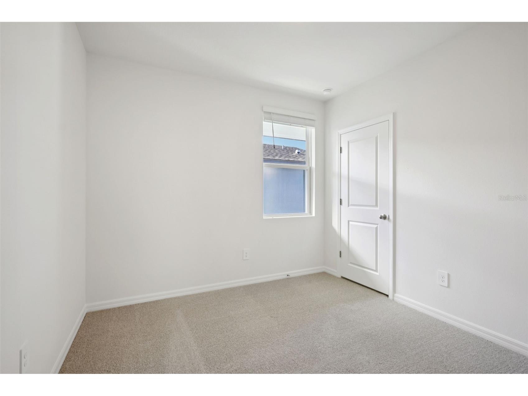 7496 Mia Vine Drive Brooksville FL 34601 TB8474654 image25