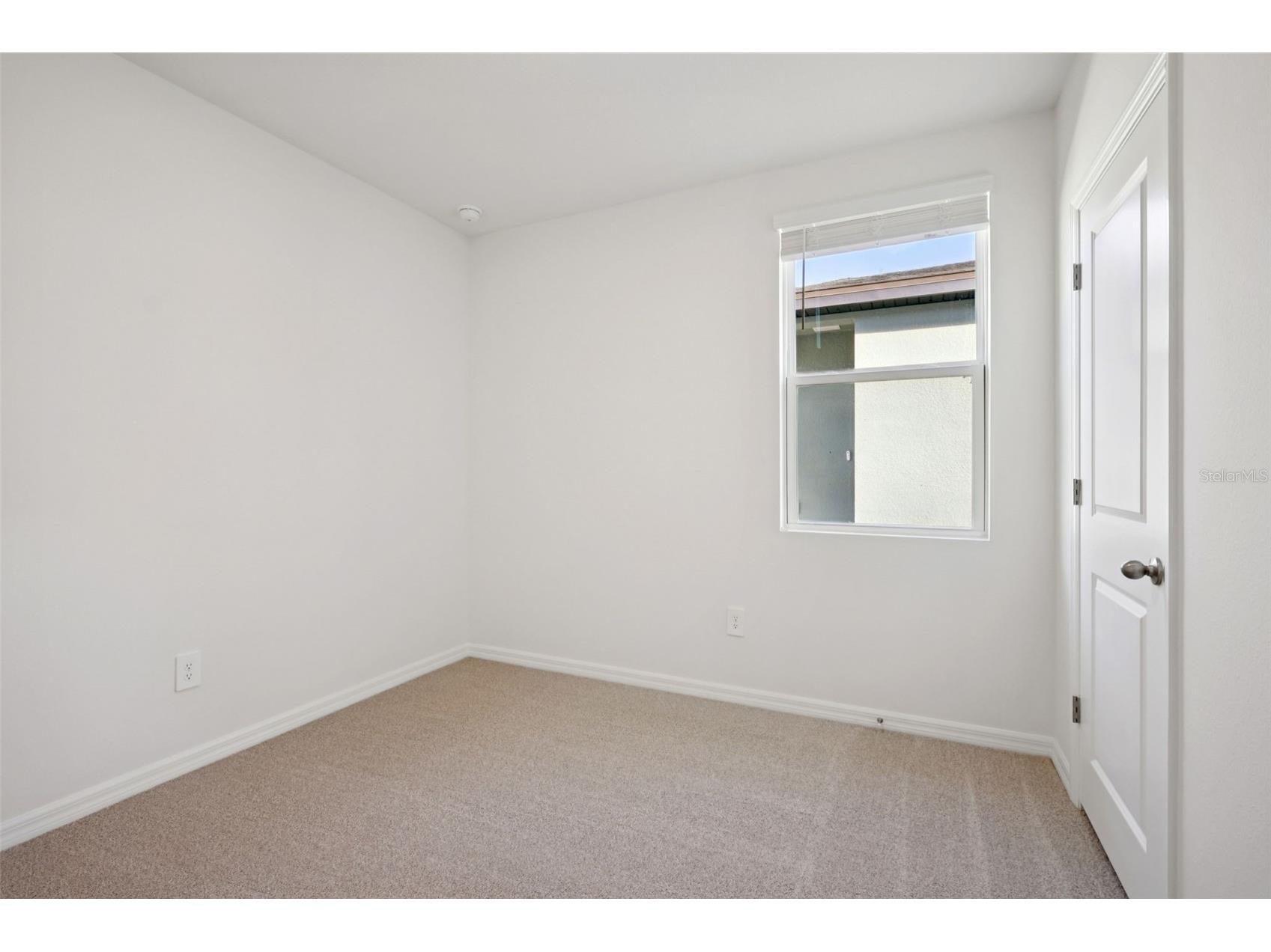 7496 Mia Vine Drive Brooksville FL 34601 TB8474654 image28