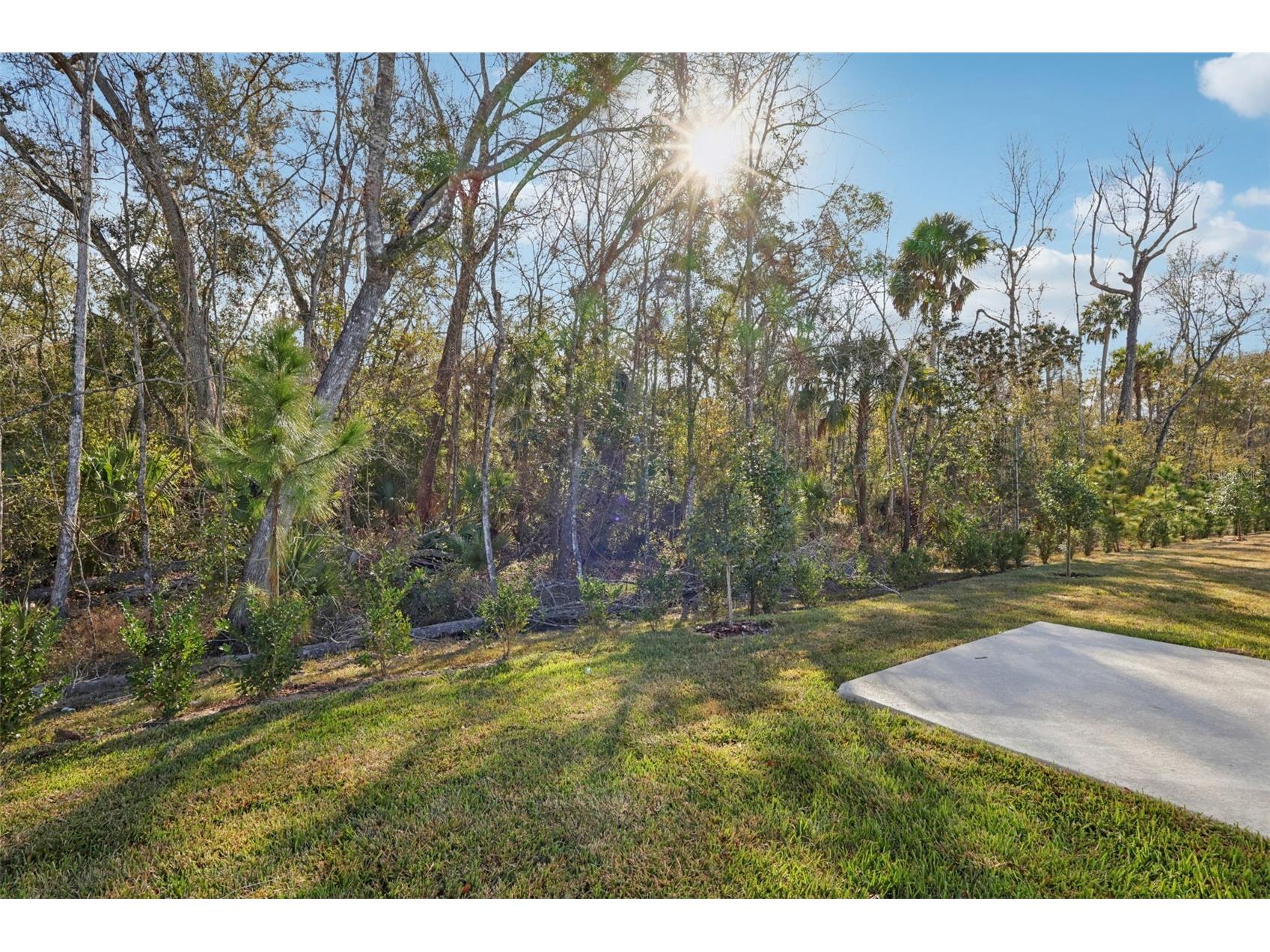 7496 Mia Vine Drive Brooksville FL 34601 TB8474654 image32