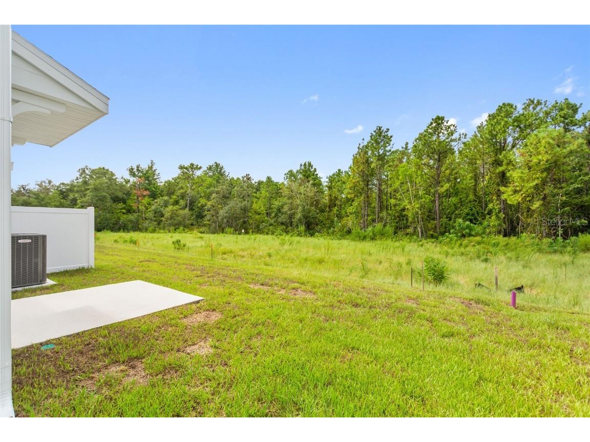 7496 Stone Creek Trail Kissimmee FL 34747 O6351913 image5