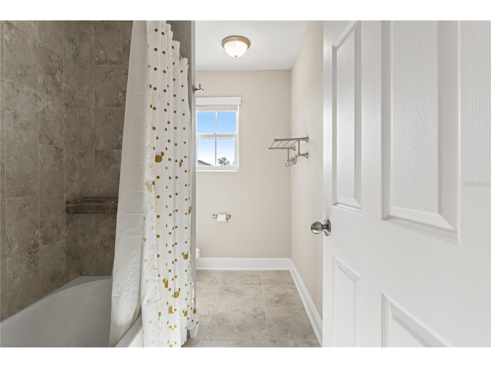 7496 Yale Harbor Drive Wesley Chapel FL 33545 TB8437981 image42