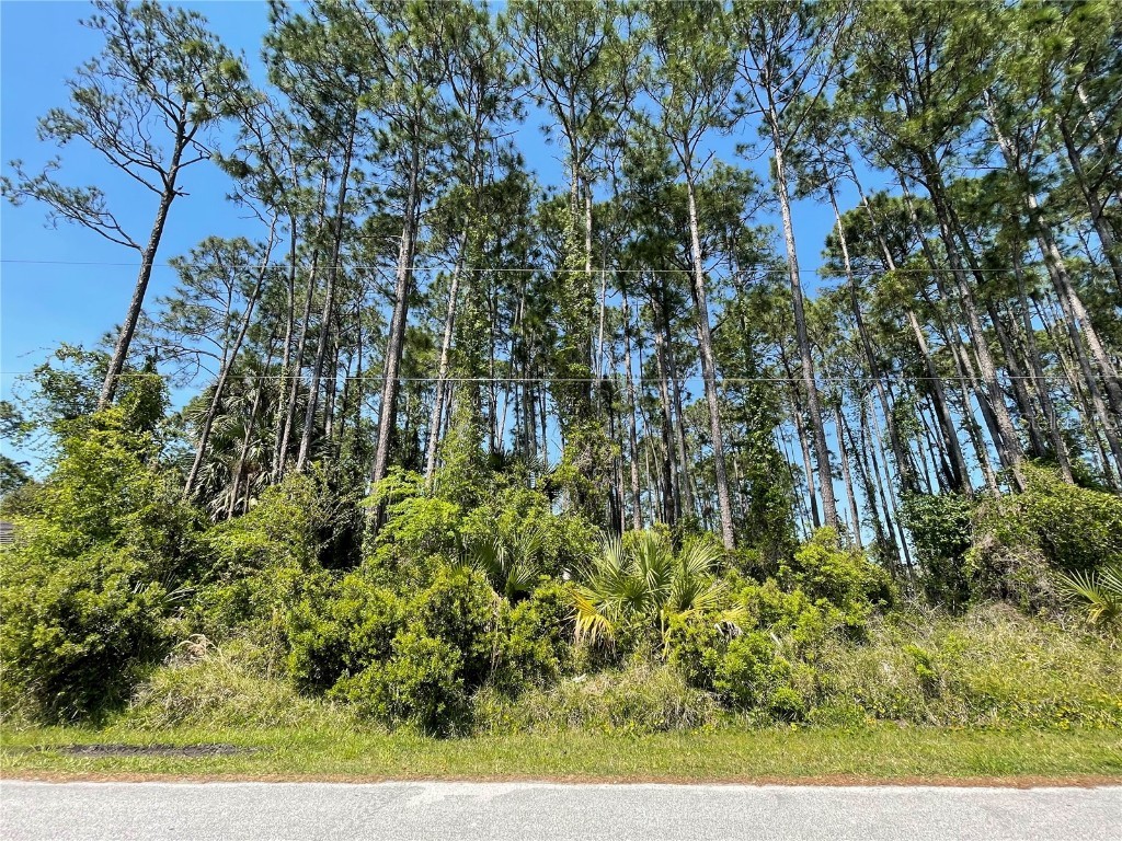 75 Brockton Lane Palm Coast FL 32137 FC299268 image1