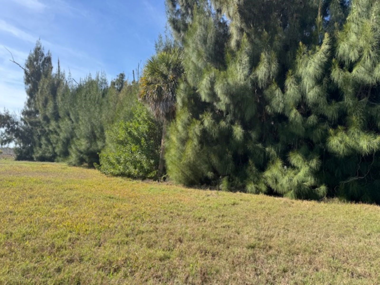 75 Green Dolphin Drive N Placida FL 33946 A4683286 image3