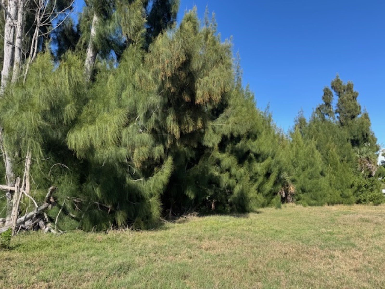 75 Green Dolphin Drive N Placida FL 33946 A4683286 image4