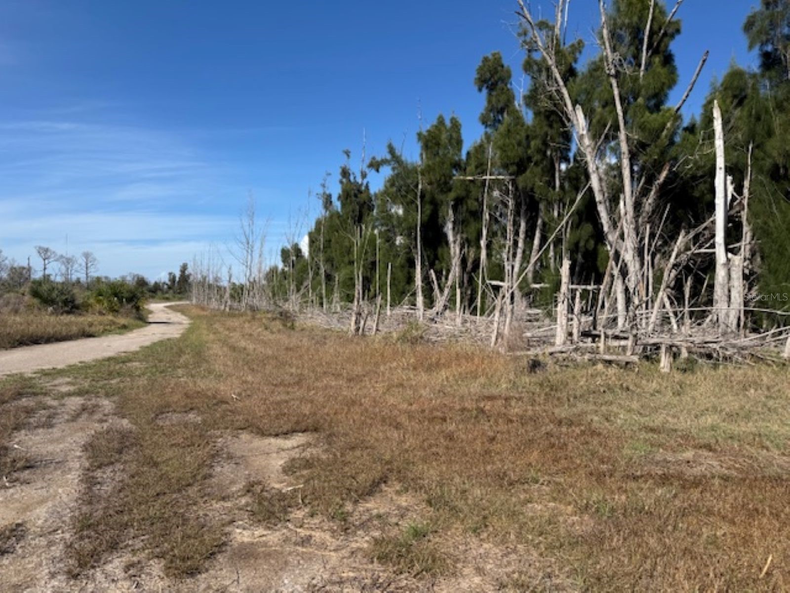 75 Green Dolphin Drive N Placida FL 33946 A4683286 image5