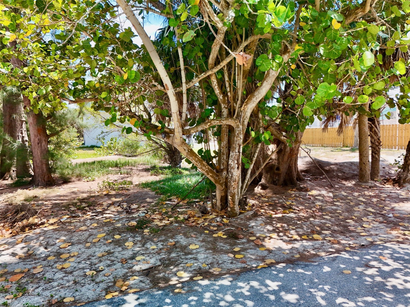 75 Meredith Drive Englewood FL 34223 - GULF A4692507 image4