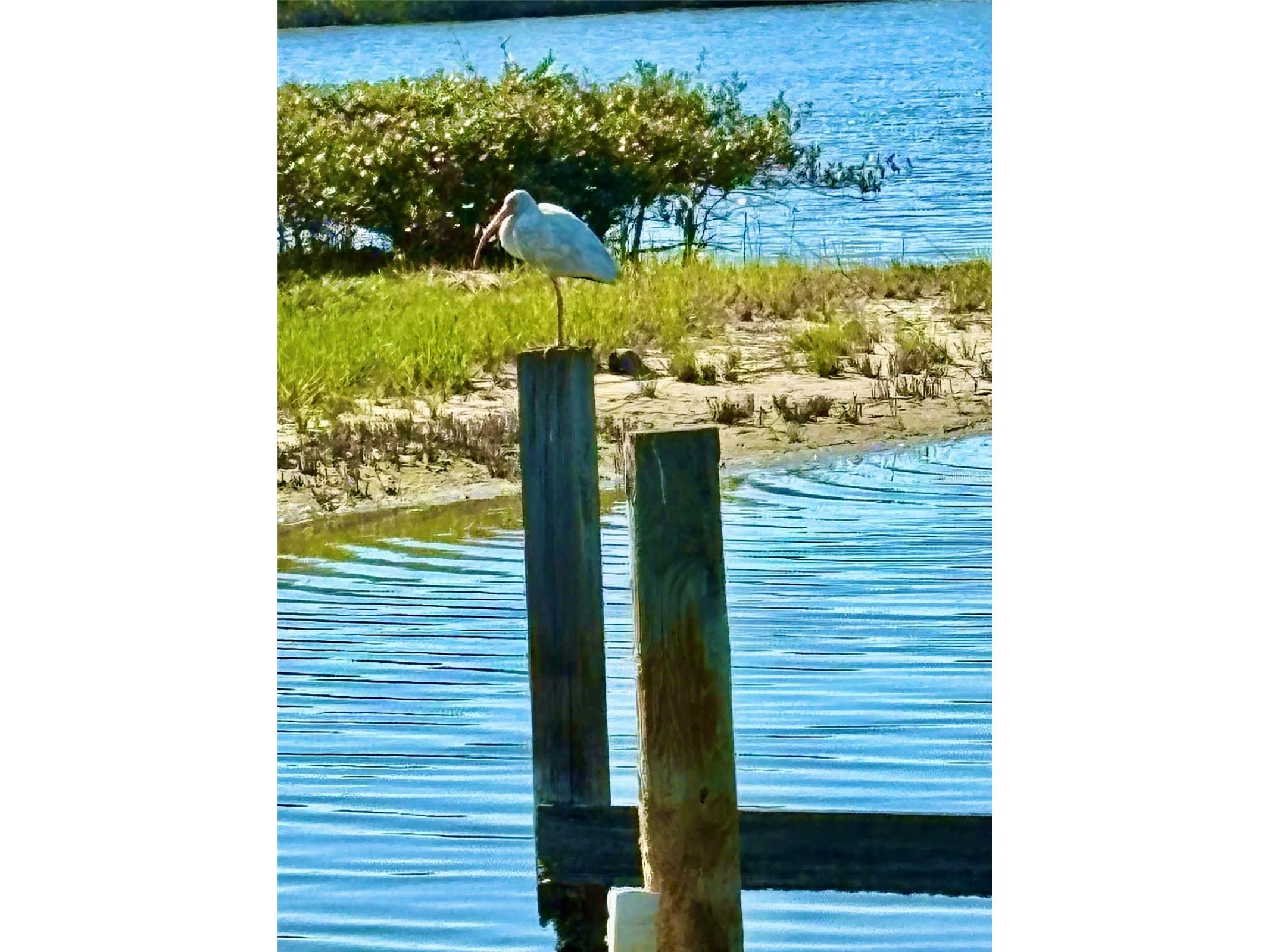 75 Ocean Palm Villa S #75 Flagler Beach FL 32136 - INTRACOSTAL WATERWAY FC315413 image18