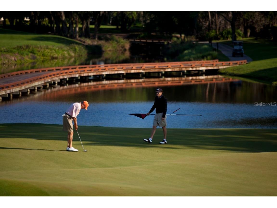 75 Osprey Point Drive Osprey FL 34229 A4672439 image84