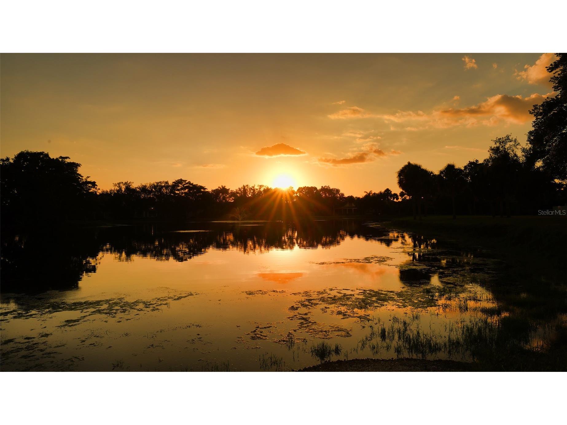 75 Osprey Point Drive Osprey FL 34229 A4695145 image67