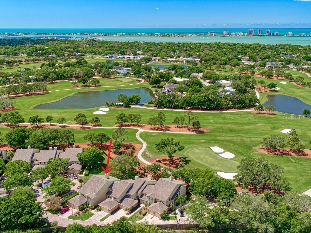 75 Pelican Place Belleair FL 33756 TB8432527 image2