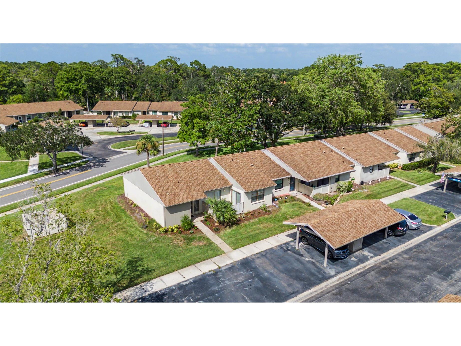 75 Poole Place Oldsmar FL 34677 TB8527830 image37