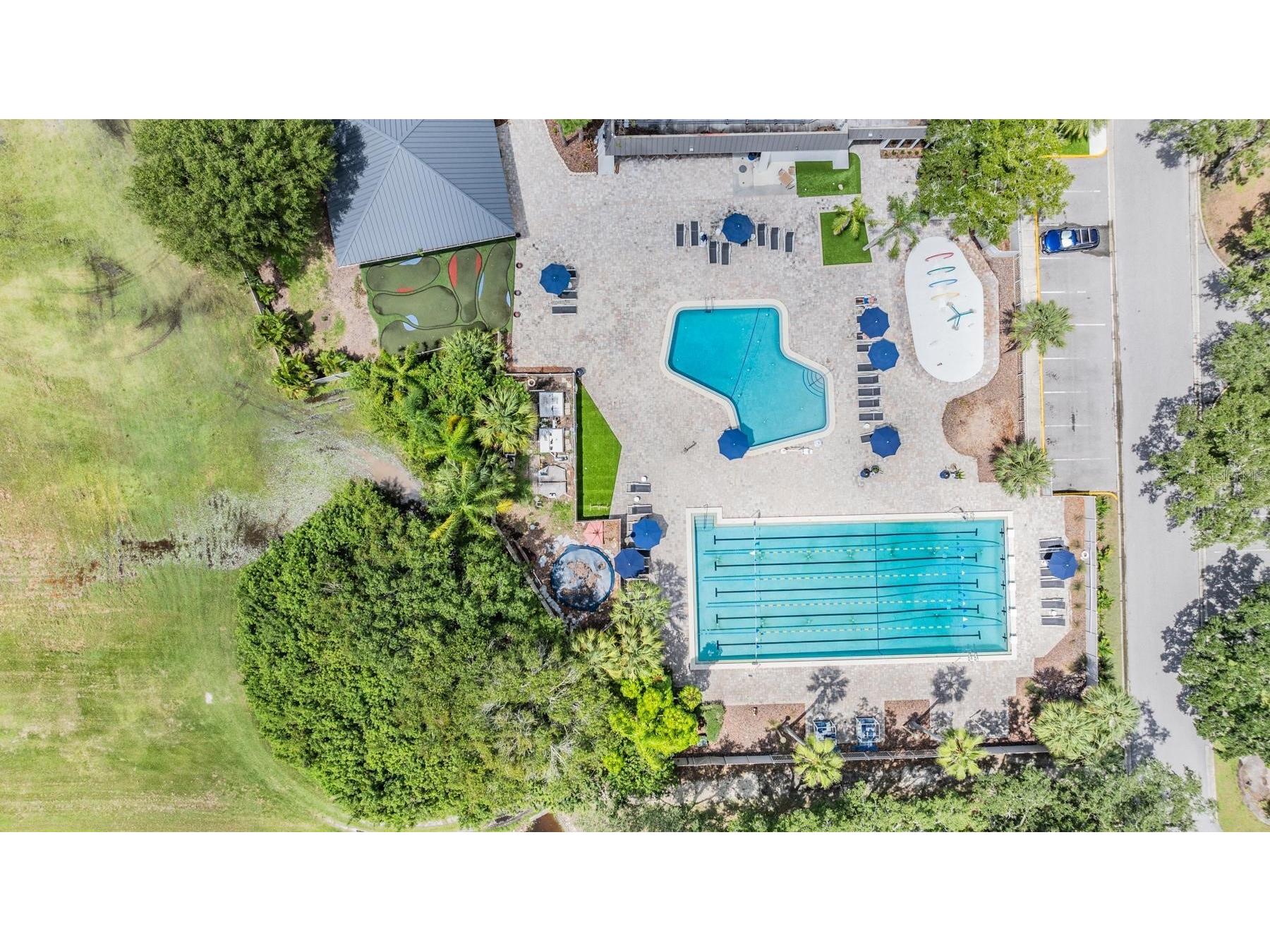 75 Poole Place Oldsmar FL 34677 TB8527830 image46