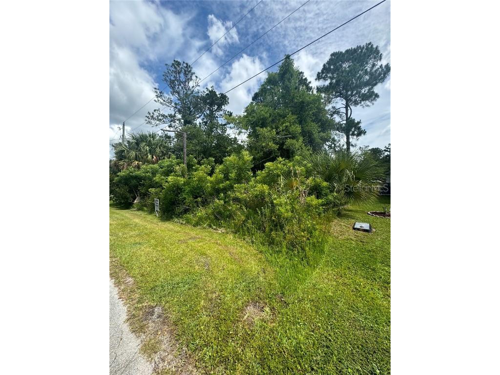 75 Randolph Drive Palm Coast FL 32164 O6209720 image1