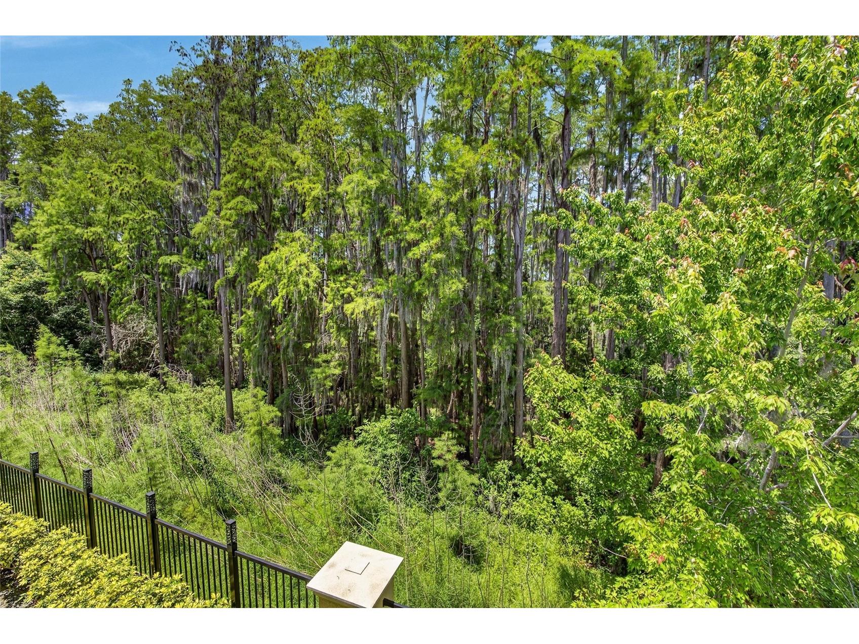 750 Grand Cypress Lane Tarpon Springs FL 34689 TB8508694 image75