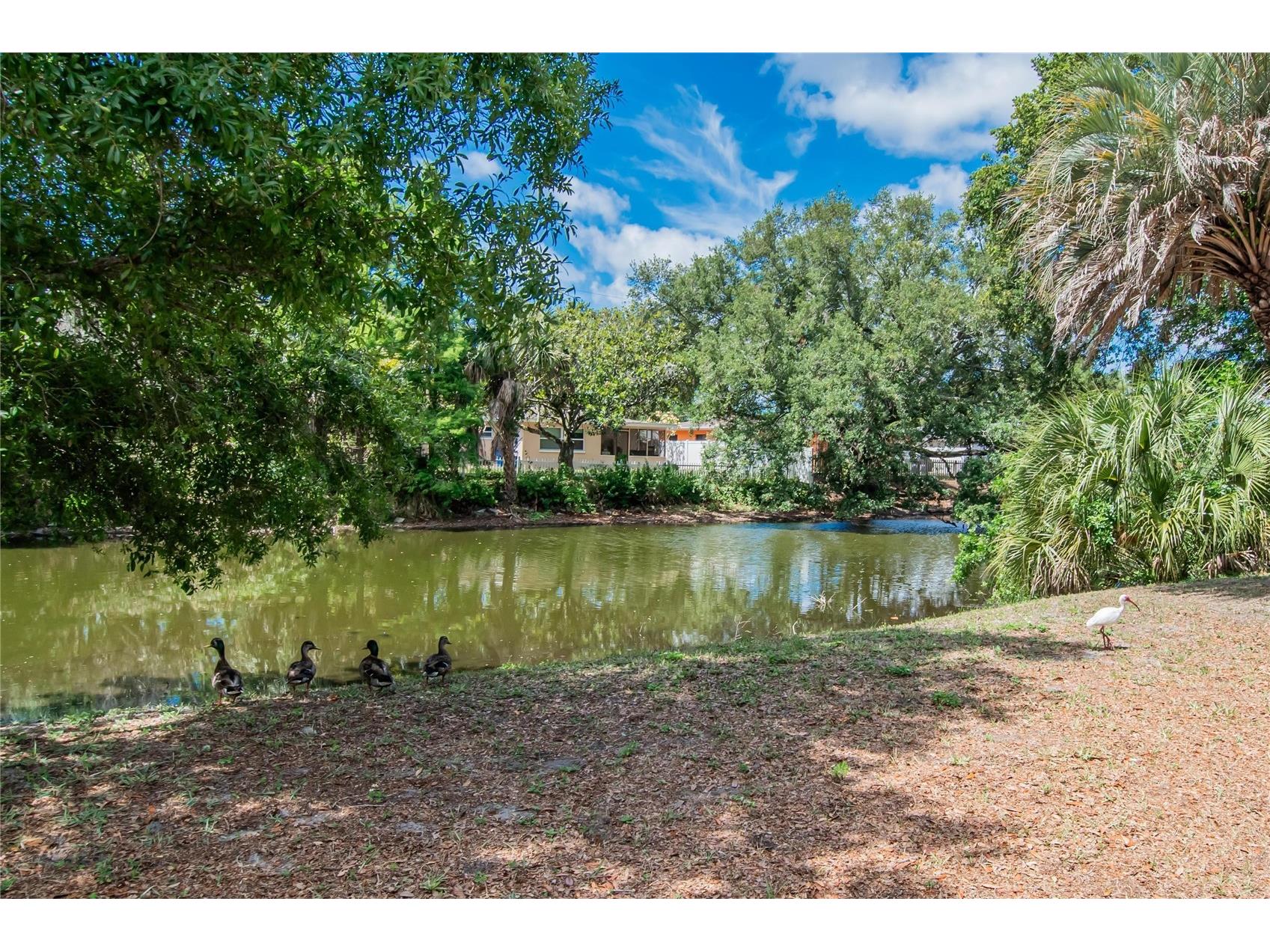 750 Grand Cypress Lane Tarpon Springs FL 34689 TB8508694 image76