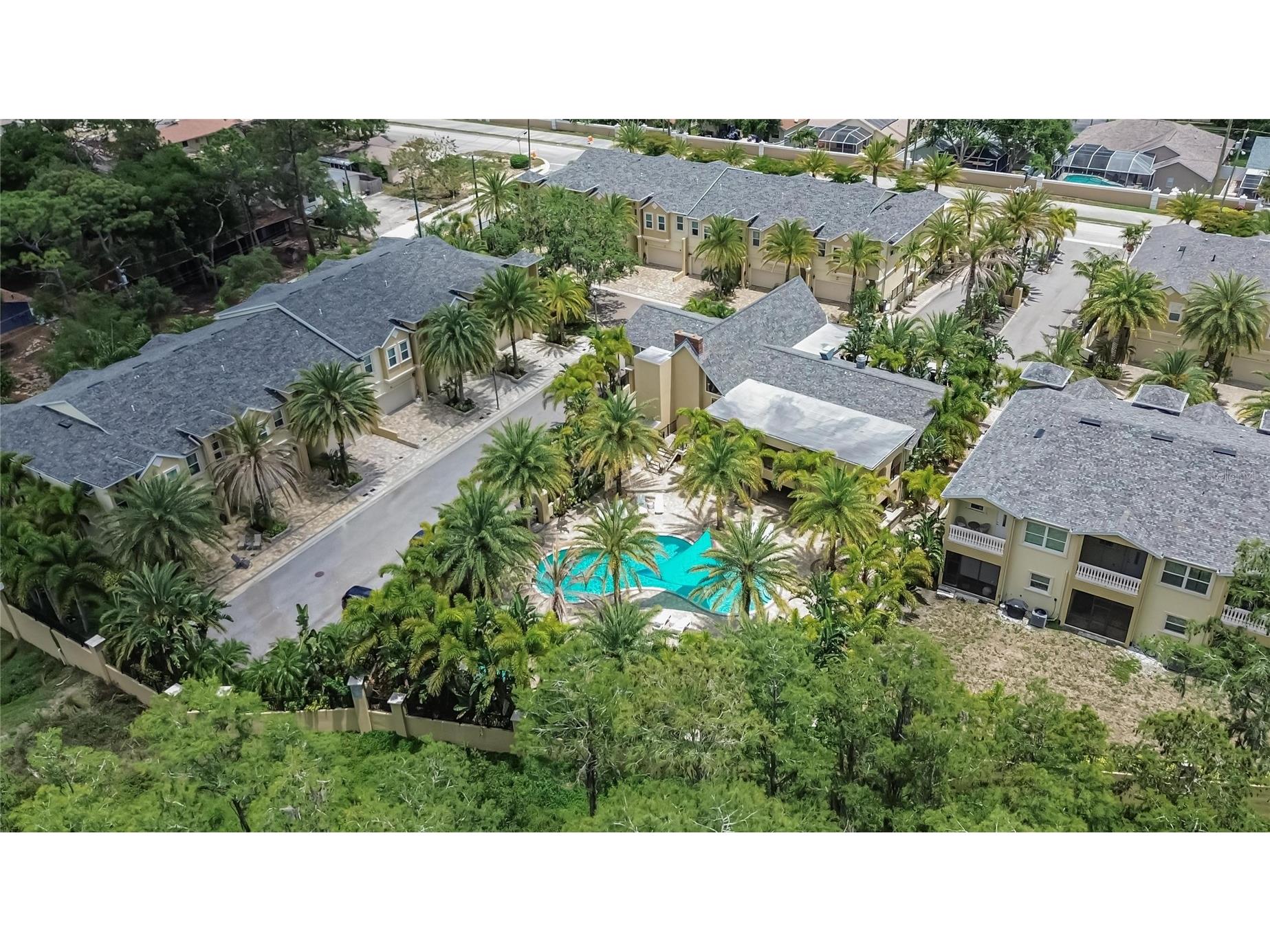 750 Grand Cypress Lane Tarpon Springs FL 34689 TB8508694 image78