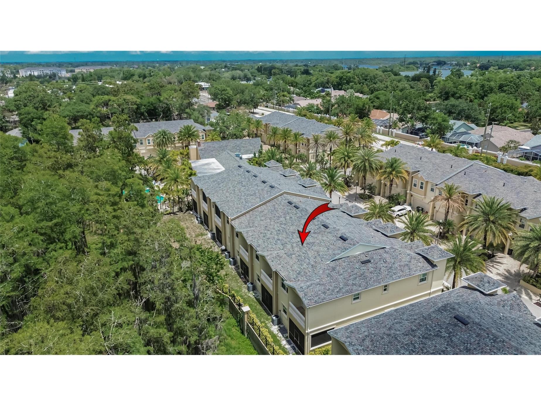 750 Grand Cypress Lane Tarpon Springs FL 34689 TB8508694 image80