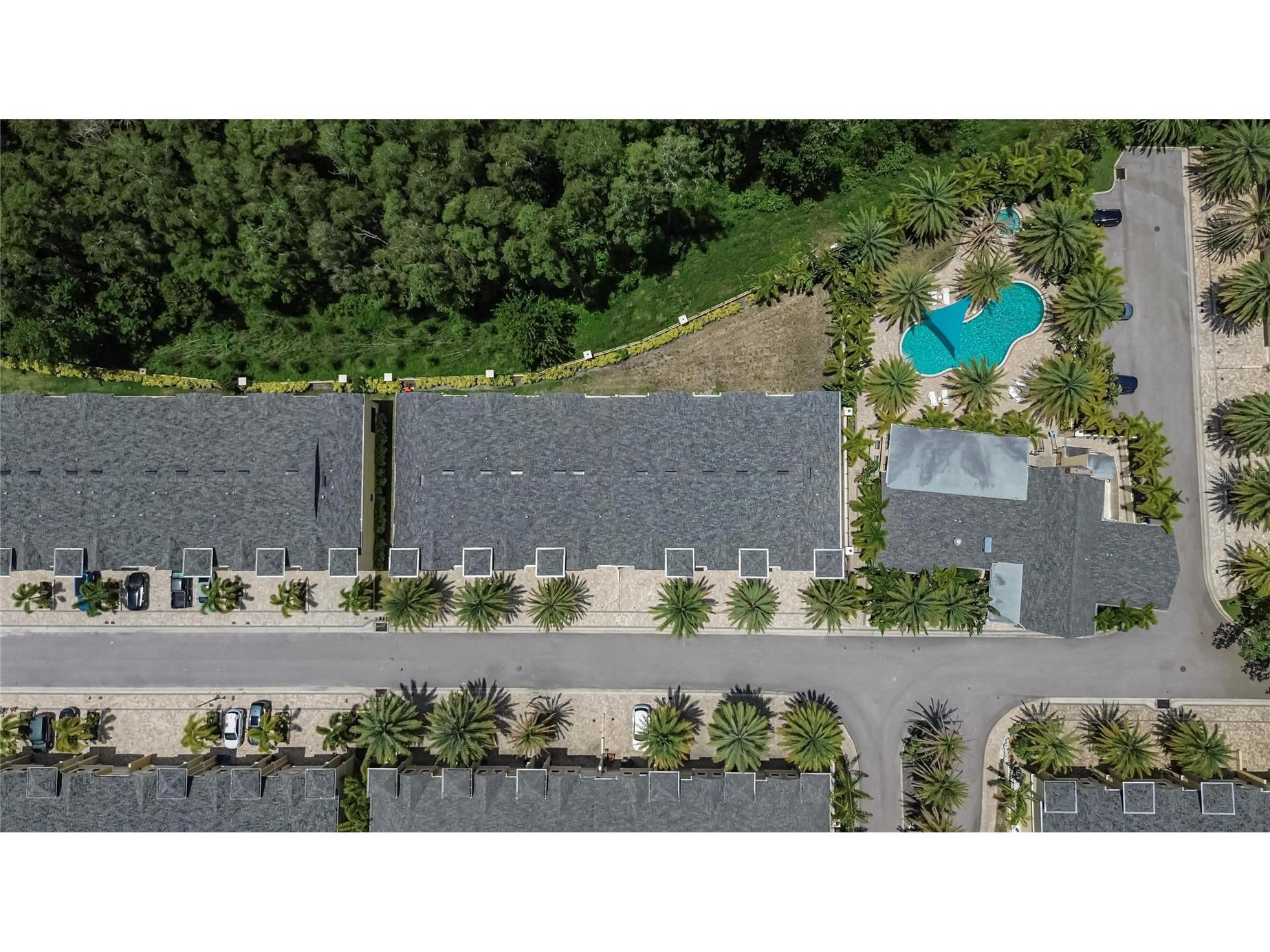 750 Grand Cypress Lane Tarpon Springs FL 34689 TB8508694 image82