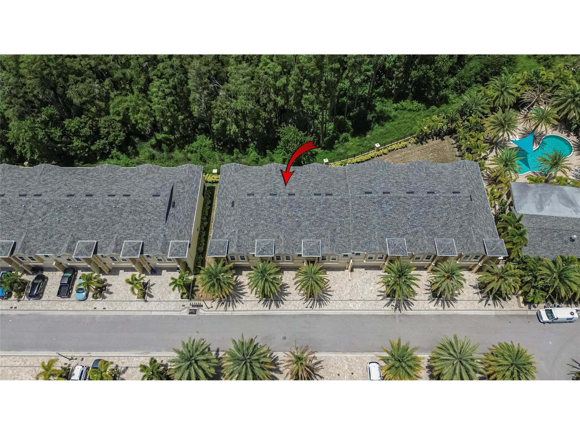 750 Grand Cypress Lane Tarpon Springs FL 34689 TB8508694 image83