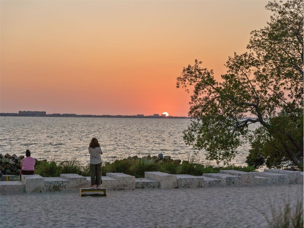 750 N Tamiami Trail #1115 Sarasota FL 34236 A4609473 image35