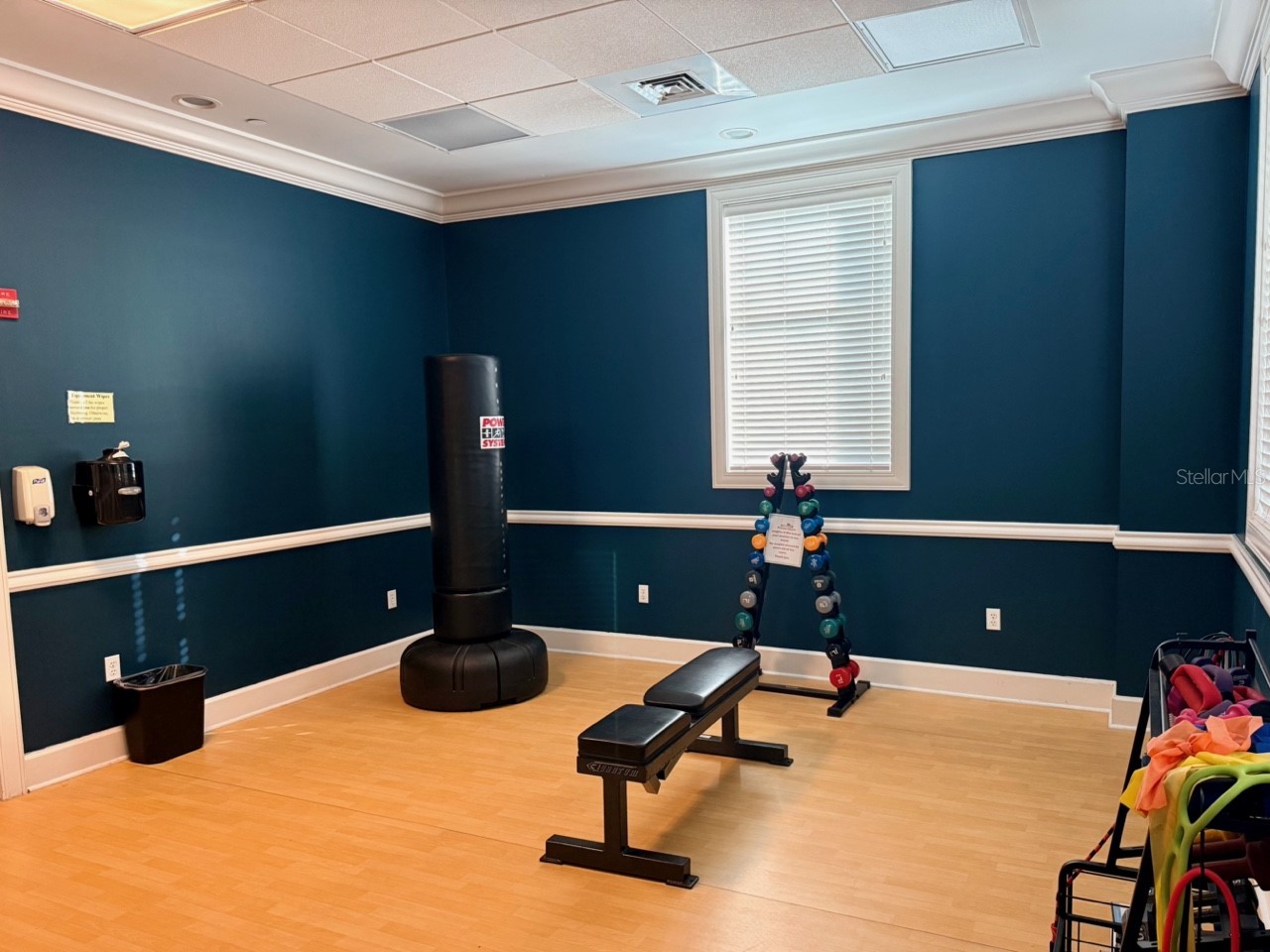 750 N Tamiami Trail #307 Sarasota FL 34236 A4680305 image49