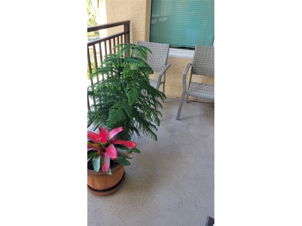 750 N Tamiami Trail #405 Sarasota FL 34236 A4189067 image7