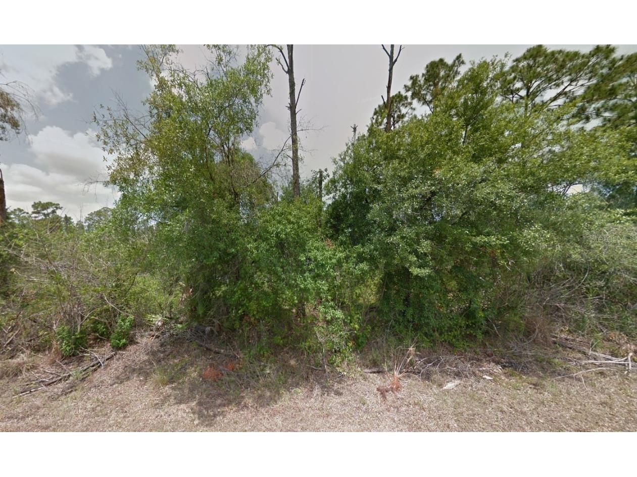750 S Jasmine Street Clewiston FL 33440 OK225142 image1